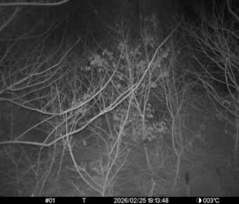 Feb 25 2026 19:13:48, #01