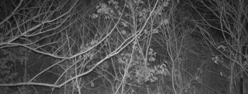 Feb 25 2026 22:13:47, #01