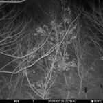 Feb 25 2026 22:13:47, #01