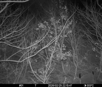 Feb 25 2026 22:13:47, #01