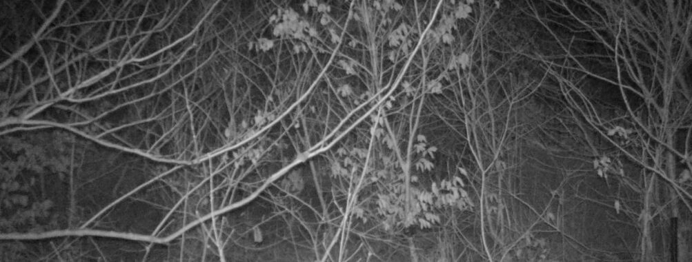 Feb 26 2026  1:13:47, #01