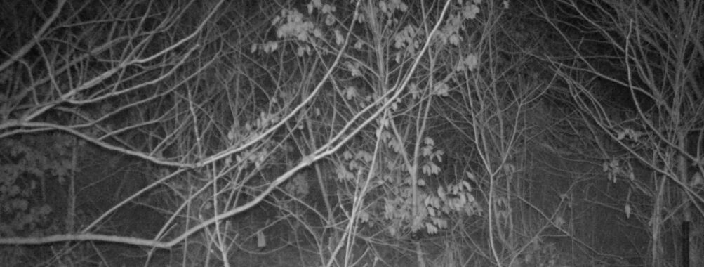 Feb 26 2026  4:13:46, #01