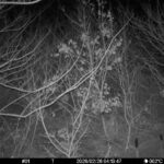 Feb 26 2026 4:13:46, #01