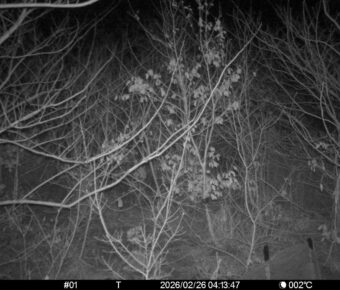 Feb 26 2026  4:13:46, #01