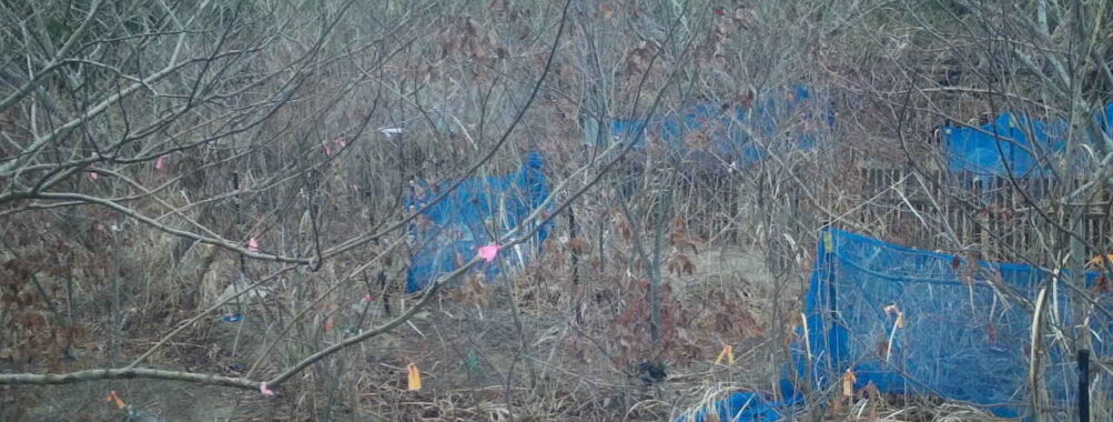 Feb 26 2026  7:13:47, #01