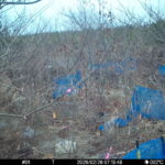 Feb 26 2026 7:13:47, #01