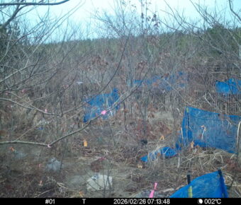 Feb 26 2026  7:13:47, #01