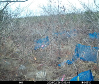 Feb 26 2026 10:13:48, #01