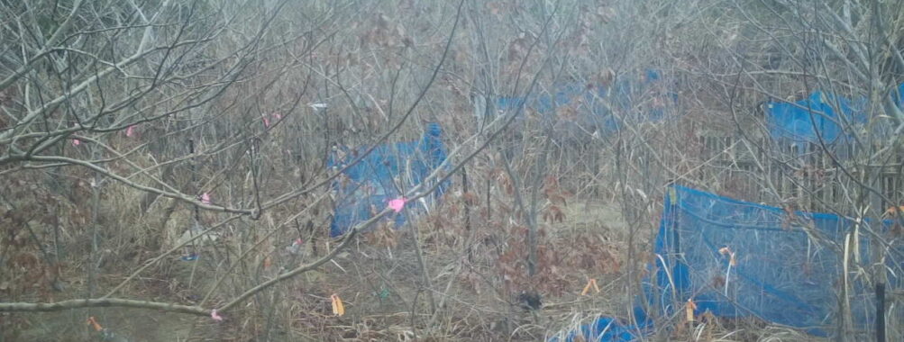 Feb 26 2026 13:13:48, #01