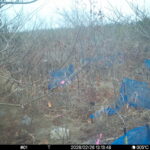 Feb 26 2026 13:13:48, #01