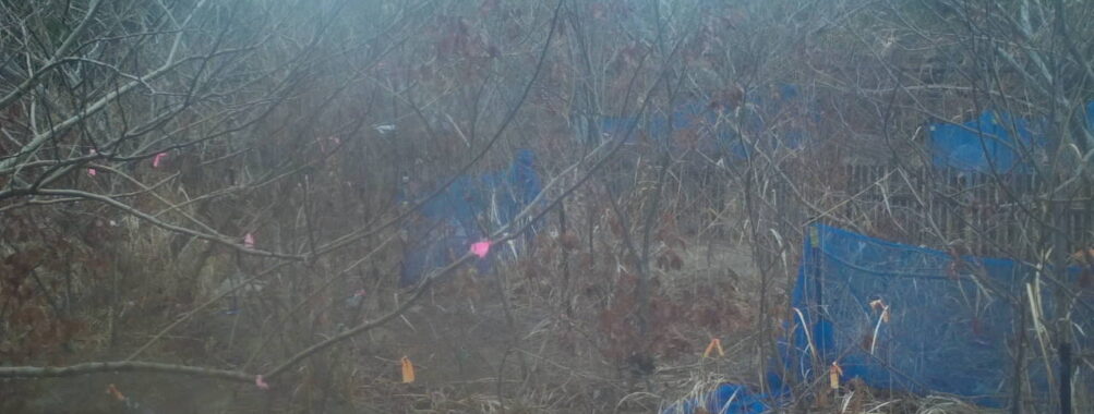 Feb 26 2026 16:13:47, #01