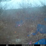 Feb 26 2026 16:13:47, #01