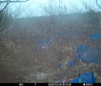 Feb 26 2026 16:13:47, #01