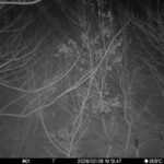 Feb 26 2026 19:13:47, #01