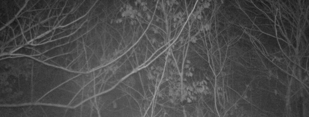 Feb 26 2026 22:13:47, #01