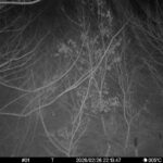 Feb 26 2026 22:13:47, #01