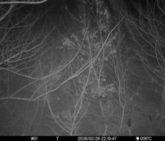 Feb 26 2026 22:13:47, #01