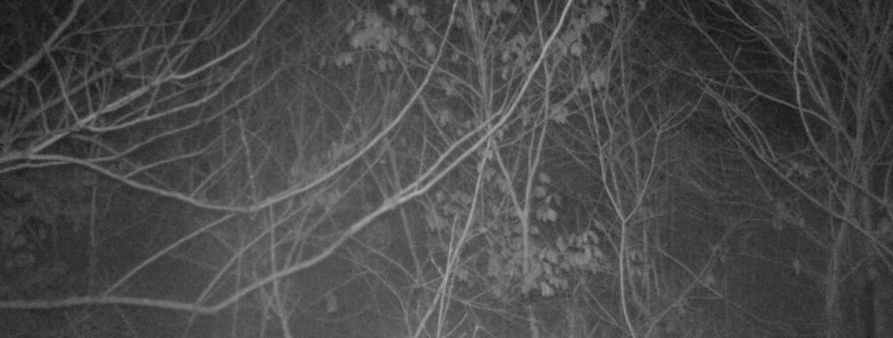 Feb 27 2026  1:13:47, #01