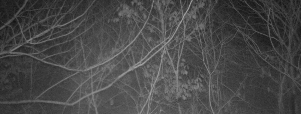 Feb 27 2026  4:13:47, #01