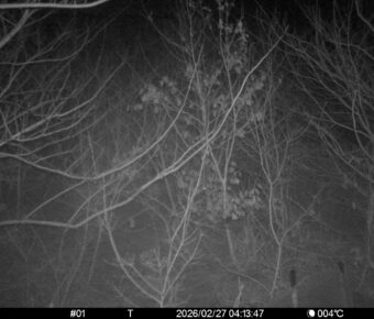 Feb 27 2026  4:13:47, #01