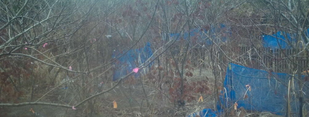 Feb 27 2026  7:13:48, #01