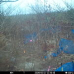 Feb 27 2026 7:13:48, #01