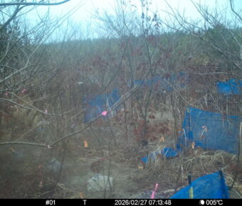 Feb 27 2026  7:13:48, #01