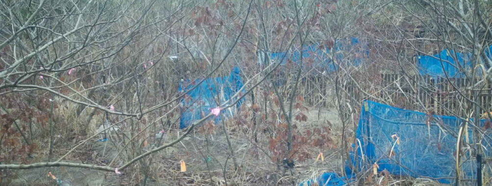 Feb 27 2026 10:13:47, #01