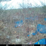 Feb 27 2026 10:13:47, #01