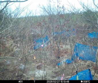 Feb 27 2026 10:13:47, #01