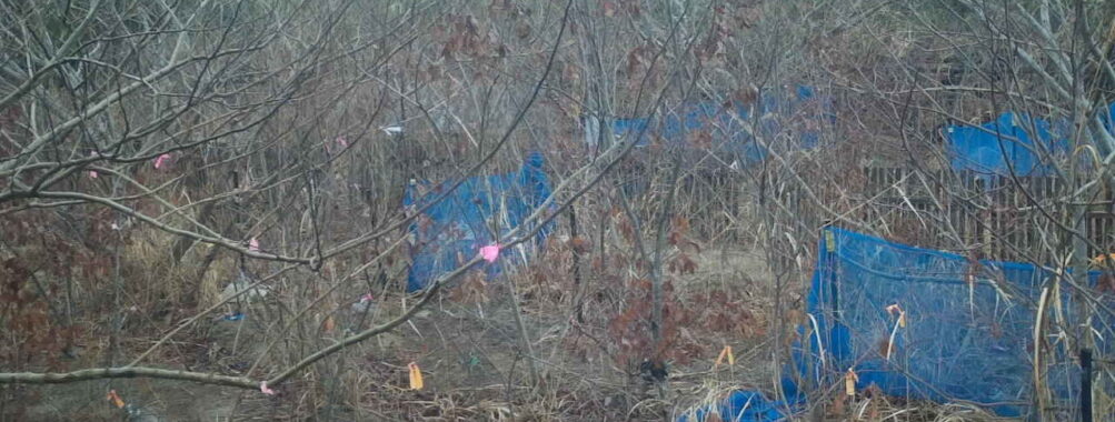 Feb 27 2026 13:13:48, #01