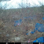 Feb 27 2026 13:13:48, #01