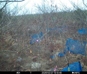 Feb 27 2026 13:13:48, #01