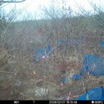 Feb 27 2026 16:13:48, #01