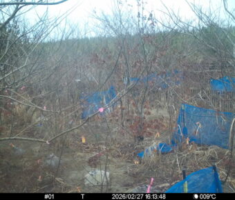 Feb 27 2026 16:13:48, #01