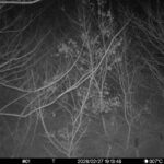 Feb 27 2026 19:13:48, #01