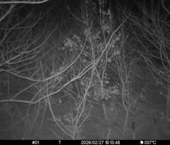 Feb 27 2026 19:13:48, #01