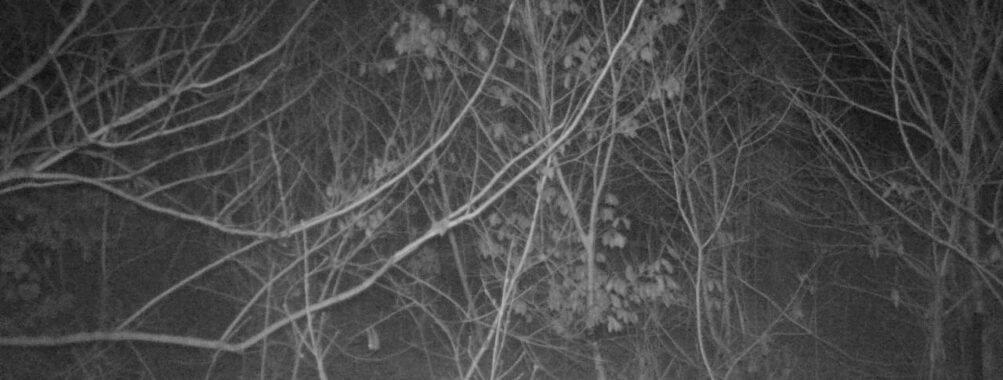 Feb 27 2026 22:13:46, #01