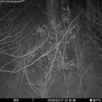 Feb 27 2026 22:13:46, #01