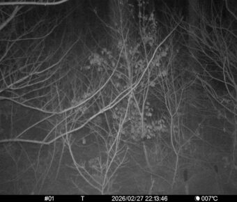 Feb 27 2026 22:13:46, #01