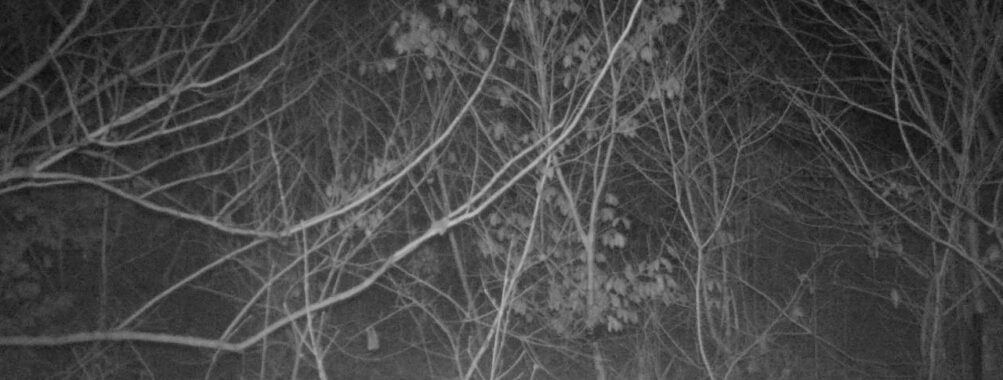 Feb 28 2026  1:13:47, #01