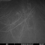 Feb 28 2026 4:13:47, #01