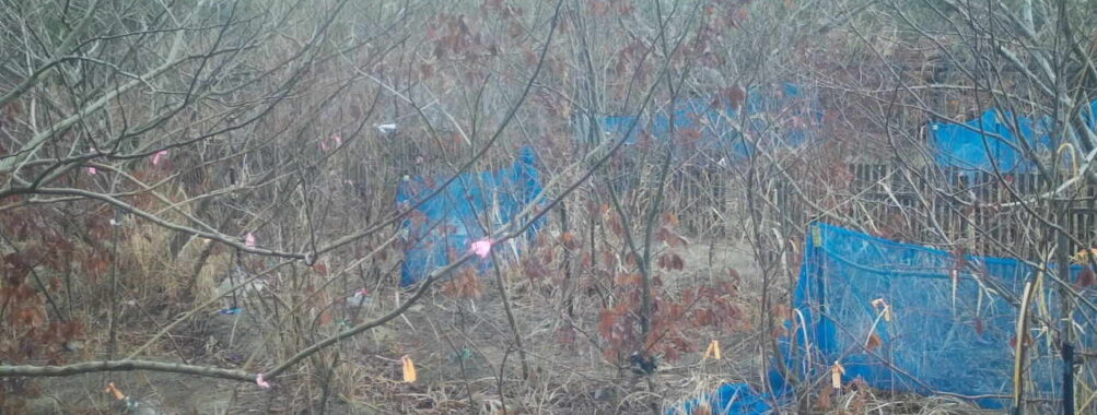 Feb 28 2026  7:13:48, #01