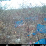 Feb 28 2026 7:13:48, #01