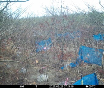 Feb 28 2026  7:13:48, #01