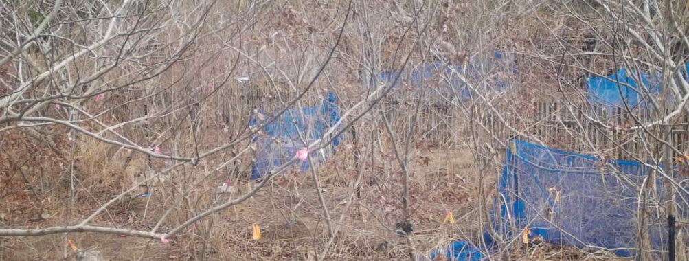 Feb 28 2026 10:13:48, #01