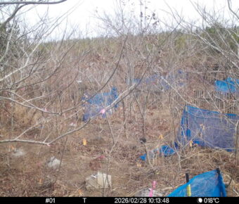 Feb 28 2026 10:13:48, #01