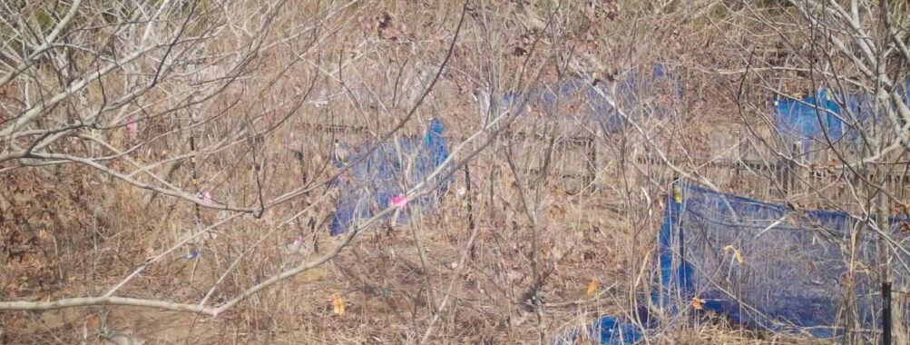 Feb 28 2026 13:13:48, #01