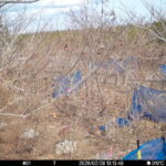 Feb 28 2026 13:13:48, #01