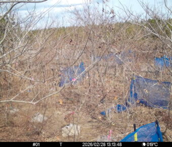 Feb 28 2026 13:13:48, #01